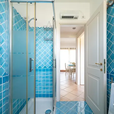 Myrsine 13-4 올비아