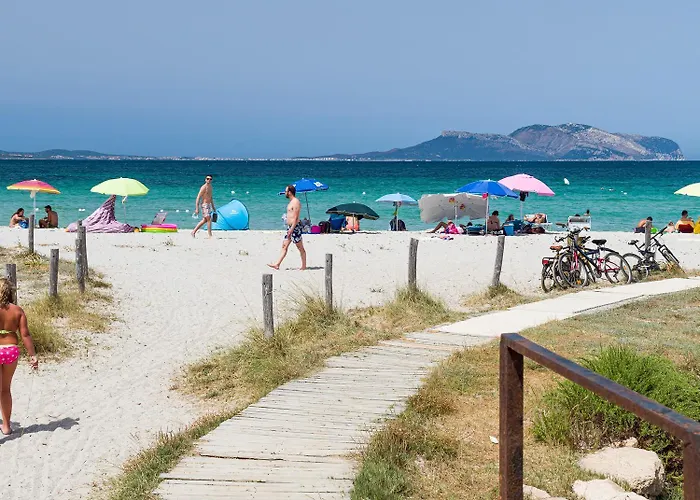 Myrsine 13-4 * Olbia